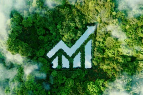 “山寨车鼻祖”要复活？众泰4亿元贷款到账支援复产